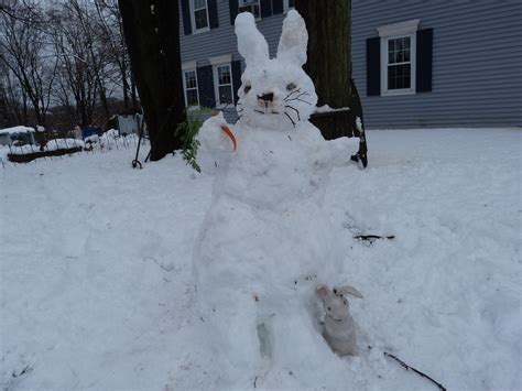 Snow Bunny Snow Bunny Built By Mom And Me Lisa Jacobs Flickr