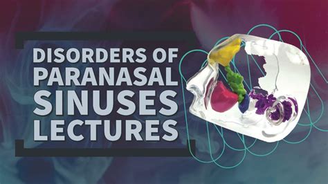 Paranasal Sinuses Lecture 6 Acute Frontal Ethmoidal And Sphenoidal