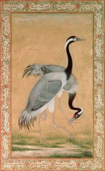 Cranes Jahangir Period Mansur Als Reproductie Kunstdruk Of Als