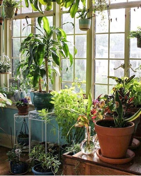 Natural And Beautiful Indoor Jungle Ideas That Will Enhance Your Room