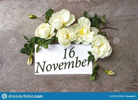 November 16th Day 16 Of Month Calendar Date White Roses Border On