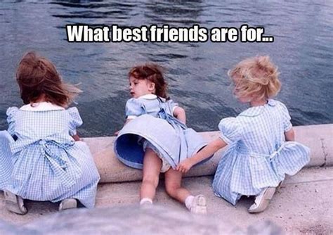 Find the newest puns about friendship meme. True Friends