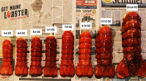 find the best 6 oz lobster tail price from 10 55 tail