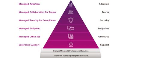 Microsoft 365 Services To Maximize Your Investment