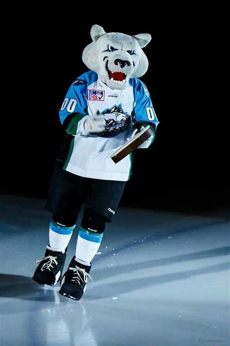 Best Mascot In The Echlboomer Can He Stand The Cold Pro