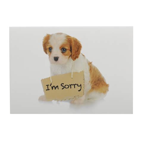 Look through examples of sorry translation in sentences, listen to pronunciation and learn grammar. I'm Sorry