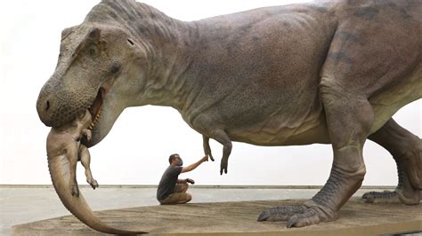Are Dinosaurs Really Extinct Resume Themplate Ideas