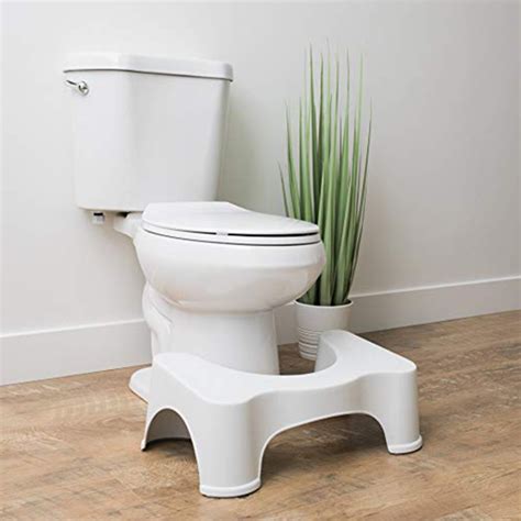Pictures types of worm and how they enter the body Toilet Stools May Help Your Bowel Movement
