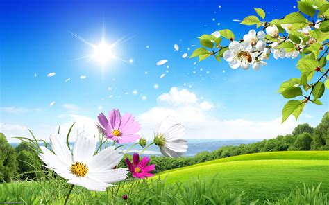 10 Best Spring Scenery Wallpaper Widescreen Full Hd 1080p For Pc