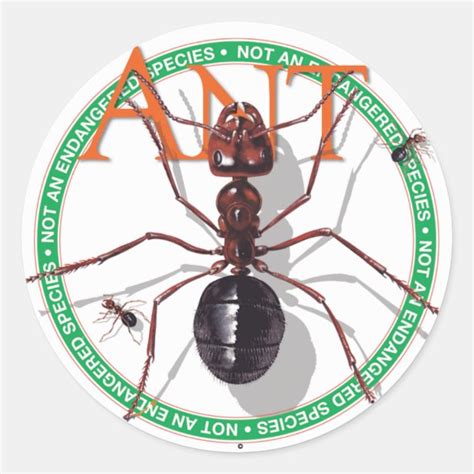 Ant Stickers Zazzle