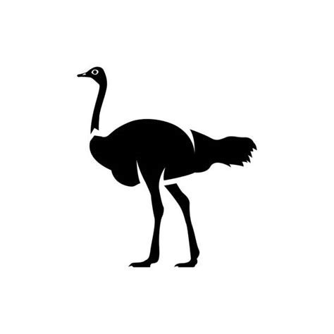 Ostrich Head Sand Illustrations Royalty Free Vector Graphics And Clip