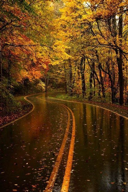 Love Fall And Rainy Days In Mi Scenery Autumn Rain Beautiful Nature
