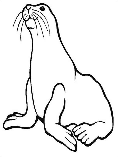 Sea Lion coloring page for kids | Coloring pages | Lion coloring pages