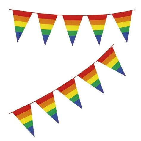 Rainbow Flag Bunting 10 Triangular Flags Kids Themed Party Supplies