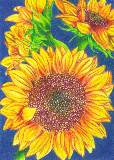 Inspiration drawings art draw pencil. Lynn's Daily Sketching
