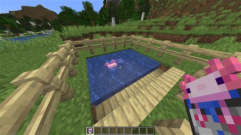 Minecraft Axolotl How To Find Tame And Breed Axolotls Ggrecon