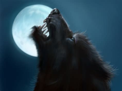 Garys Reflections Full Moon Tonight Lets Talk Werewolf