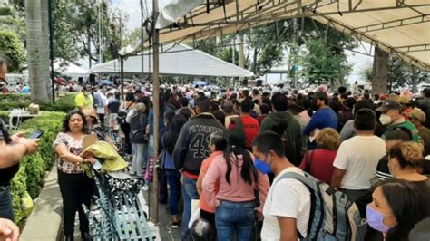 Estos Son Los Resultados De Elecciones De Morena En Veracruz La Silla