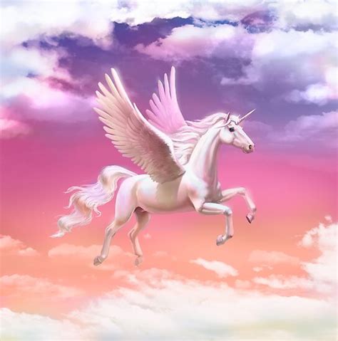 Flying Unicorn At Sunset Poster By Antracit Redbubble