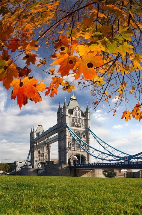 Autumn In London El Puente De La Torre Otoño En Londres Londres