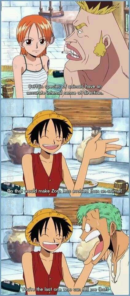 Pin By Danielle On One Piece Anime Funny One Piece Funny One Piece