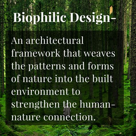Warm Walls Welcome Wood The Biophilic Design Benefits Of Wood Caragreen