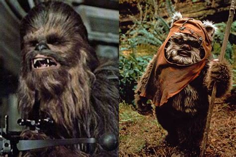 Chewbacca And Ewok Ewok Star Wars Uproxx