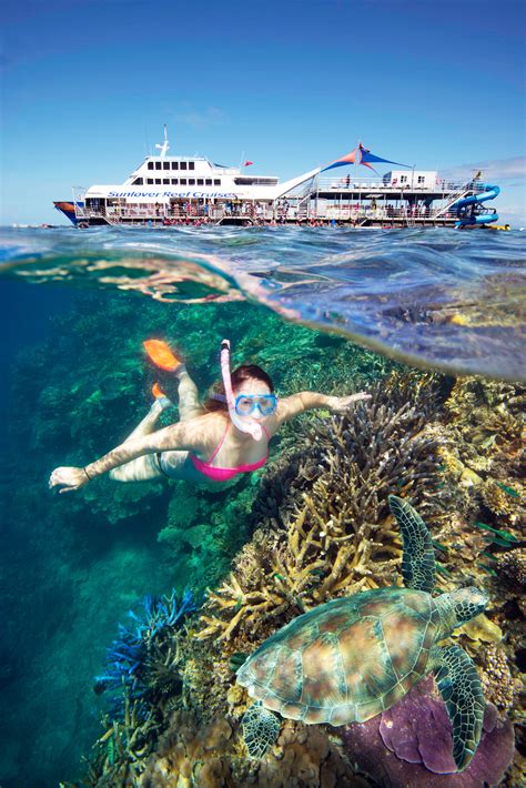 Cairns Reef Tours Tourism Town The Tourism Marketplace Find And
