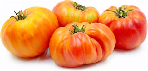 Hillbilly Heirloom Tomatoes Information Recipes And Facts
