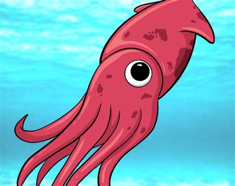 Easy Squid Drawing