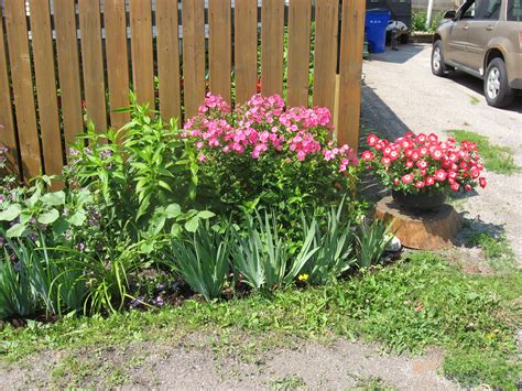 Maybe you would like to learn more about one of these? Pin on garden in northern Ontario Darlene MARTIN
