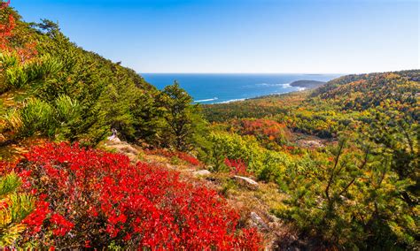 6 Fall Foliage Group Trips On The East Coast The Travel Team