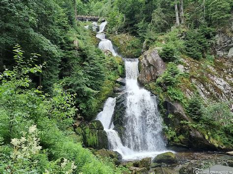 The Triberg Waterfalls Germanys Highest Waterfall