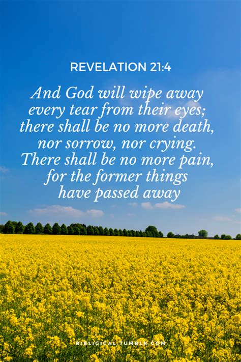 Bible Verses Studies Teachings — And God Will Wipe Away Every Tear