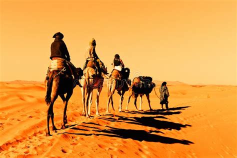 Caravane De Chameau Dans Le Désert De Sahara Photo Stock Image Du