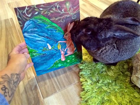 Rabbit Paintings Tania Marie