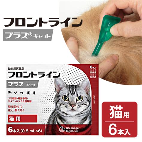 【楽天市場】フロントラインプラス 猫用 CAT 3P 【動物用医薬品 ...