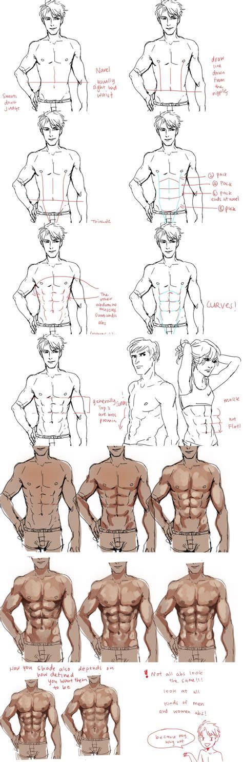8 Best How To Draw Abs Ideas Art Reference Poses Drawing Tutorial