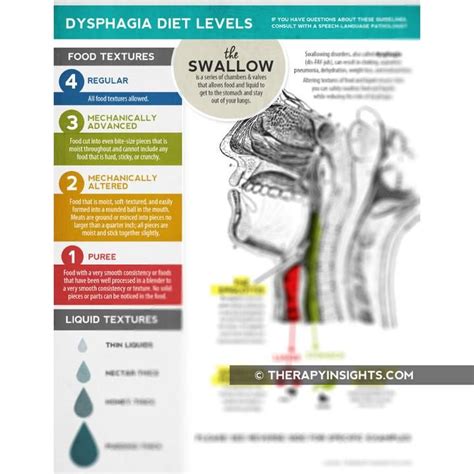 Handout Dysphagia Diet Textures Dysphagia Diet Dysphagia Speech