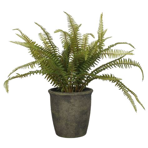Artificial Urban Jungle Potted Fern Plant At Evergreen Direct