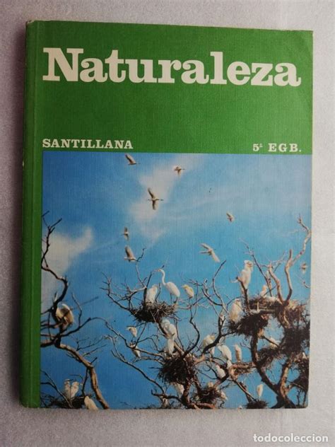 Naturaleza Santillana 5 Egb Comprar Libros De Texto En Todocoleccion