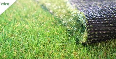 Artificial Grass Vs Natural Grass Environmental Impact Eden Lawn