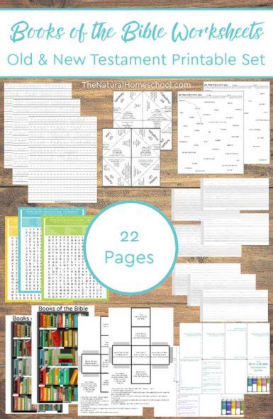 Books Of The Bible Worksheets ~ Old And New Testament Printable Bundle