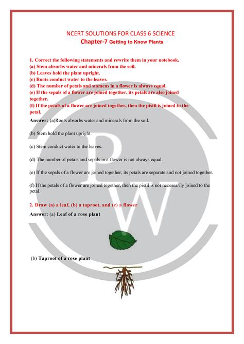 Class 6 Science Chapter 7 Getting To Know Plants Ncert Solutions Pw