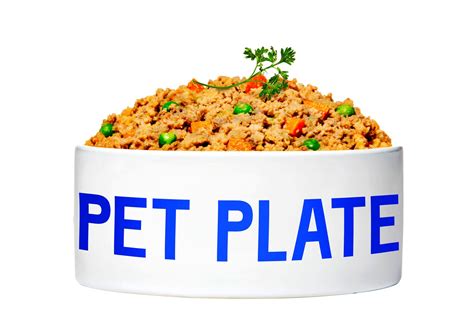 Dog lovers appear to adore the product with the company enjoying amazing customer retention and rave reviews. Pet Plate Review: Healthy & Fresh Dog Food Delivery ...
