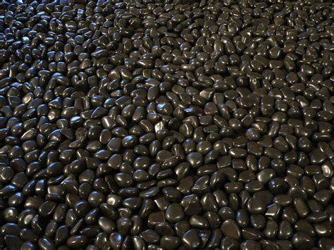 Shiny Black Rocks Taken At Phoenix Art Museum Kneu Photo Flickr