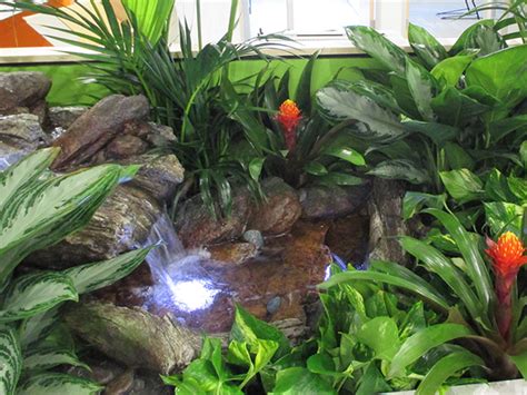 Tropical Stream Interior Landscape Project Unique Plant Rentals
