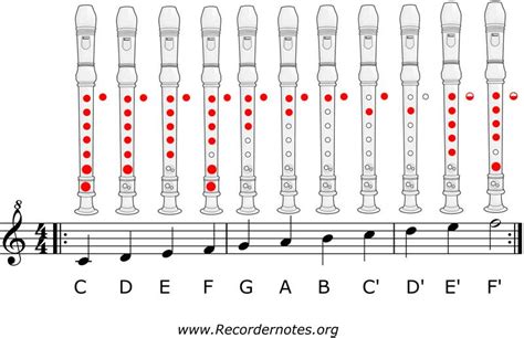 Recorder Notes For Beginners