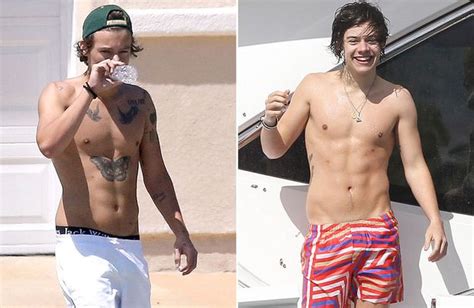Topless Harry Styles From One Direction Looking Very Sexy And Very Manly And Very Naked Mirror