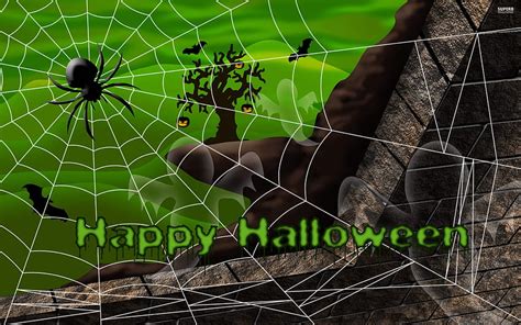 Halloween And Time To Decorate Your Room Halloween Spiders Hd